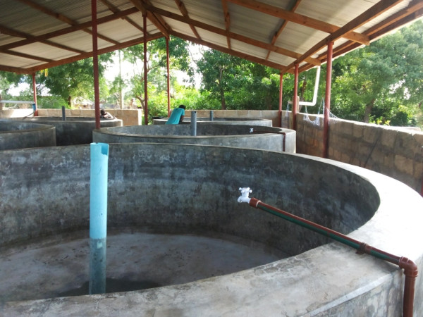 hatchery